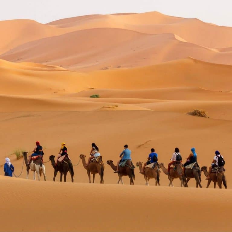 The way to the camp by camels