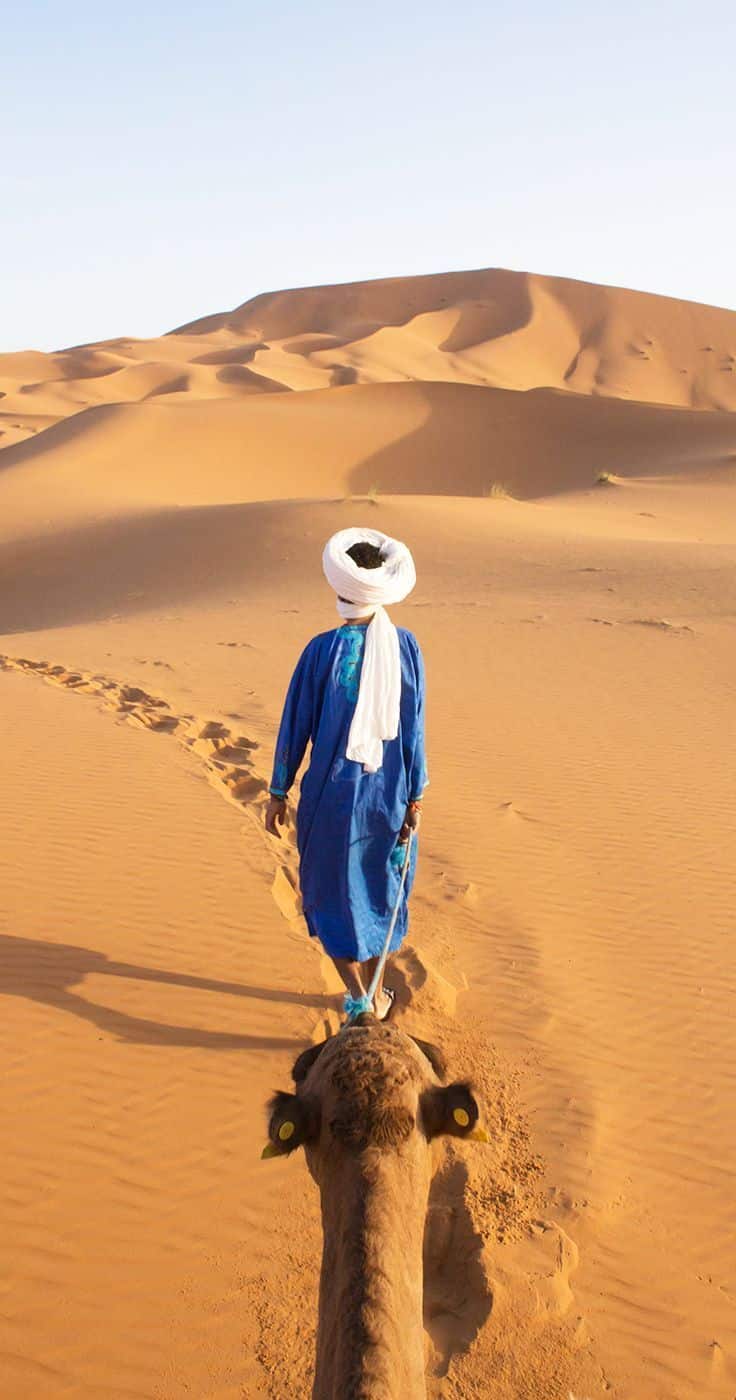Sahara desert blog