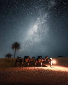 The starry nights of the desert