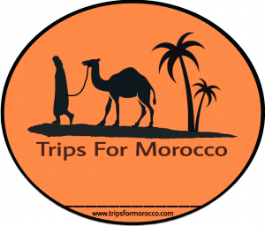 Trips For Morocco