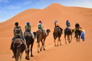 Camel ride of the shared group tour