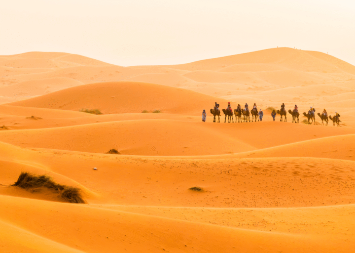 4 Days Desert Tour from Fes to Marrakech