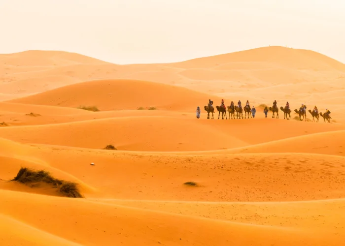 4 Days Desert Tour from Fes to Marrakech
