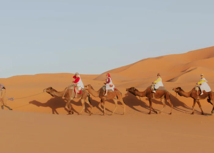 10 Days Desert Tour from Tangier